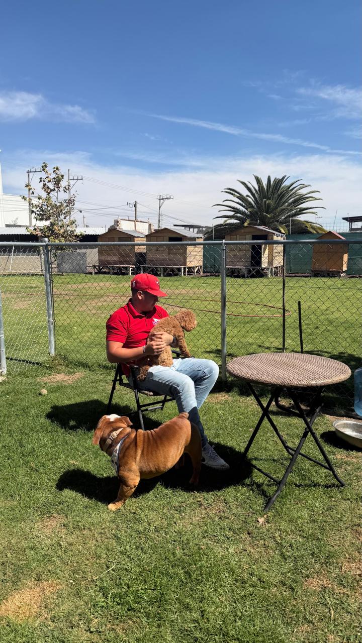 Cuidador sentado en el jardín con un poodle en brazos y un bulldog a sus pies