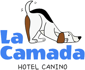 La Camada · Hotel Canino